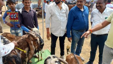Photo of पशुधन विकास केंद्र मस्तूरी के द्वारा एक दिवसीय पशु पक्षी मेले का आयोजन हुआ संपन्न।
