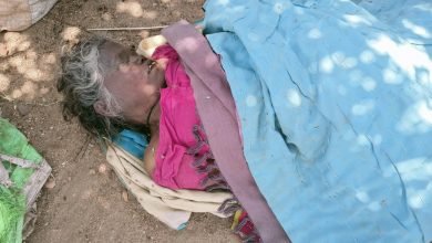 Photo of महुवा बिनने गई बुजुर्ग महिला को सर्प ने डसा हुई मौत।