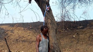 Photo of खुद के लूंहगी को फांसी का फंदा बनाकर किया आत्महत्या पचपेड़ी थाना क्षेत्र का मामला।
