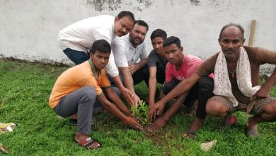 Photo of अखिल भारतीय विद्यार्थी परिषद मल्हार के कार्यकर्ता एवं स्कूल स्टाफ वालों ने किया शाला परिसर में पौधरोपण।