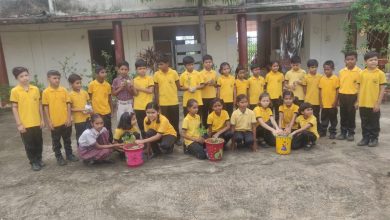 Photo of डी ए वी मुख्यमंत्री पब्लिक स्कूल में मनाया गया वन महोत्सव