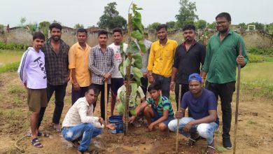 Photo of कृष्ण जन्माष्टमी पर युवा यादव समाज ने किया वृक्षारोपण