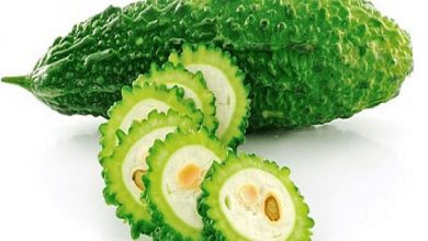 Photo of तीजा पर्व महिलाए आज खाएंगी कडुभात,सुहागिन महिलाएं और युवतियां इस व्रत को करते समय इन बातों का रखे ध्यान ।