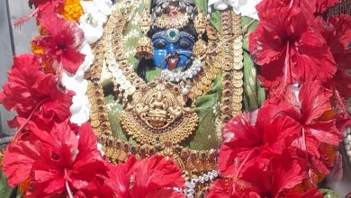 Photo of रेल्वे कॉलोनी में स्वप्न देकर विराजमान हुई है शक्तिपीठ आदिशक्ति मां काली,मनोकामना लेकर प्रतिदिन पहुँचते हैं सैकड़ो श्रद्धालु।