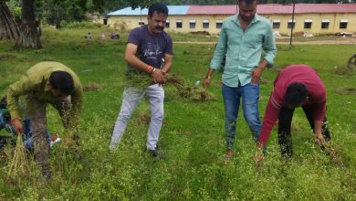 Photo of स्वच्छता की मिशाल पेण्ड्रा के हर्ष , 7 सालो से शहर को स्वछ करने का उठाया बीड़ा ,
