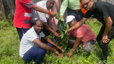 Photo of प्रधानमंत्री नरेंद्र मोदी के जन्मदिन के अवसर पर 17 सितंबर से 2 अक्टूबर सेवा पखवाड़ा के रूप में मनाया जा रहा,भारतीय जनता पार्टी कार्यकर्ताओं द्वारा सरस्वती शिशु मंदिर उच्चतर माध्यमिक विद्यालय प्रांगण मे किया  पौधा रोपण।