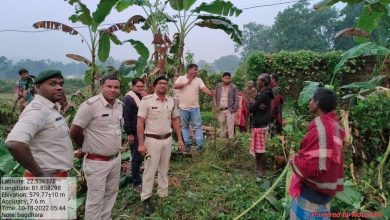 Photo of अचानकमार टाइगर रिजर्व एरिया बफर जोन में हाथियों के दल का आगमन।