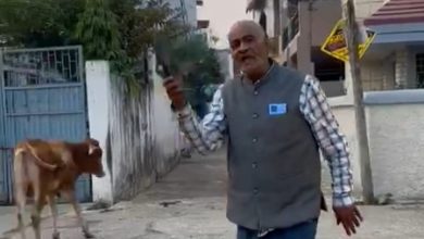 Photo of बिलासपुर न्यायधानी में कुत्ते के साथ क्रूरता का वीडियो आया सामने, आरोपी के खिलाफ कड़ी कार्यवाही की मांग..