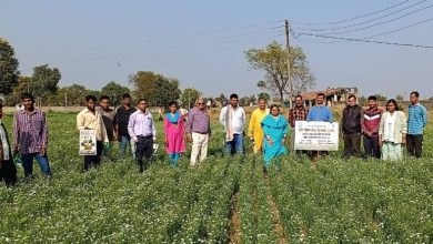 Photo of किसानो को अलसी फसल के उत्पादन की दी महत्वपूर्ण जानकारी…वैज्ञानिकों ने कहा, कम लागत में हो किसानो को अधिक मुनाफा।