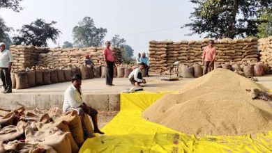 Photo of धान उठाव में पूरे प्रदेश में बिलासपुर जिला रहा अव्वल।