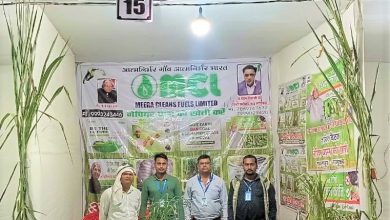 Photo of सुपर नेपियर घास से होगी पैसों की खेती,प्रति एकड़ सालाना दो लाख तक की कमाई कर सकेंगे किसान।