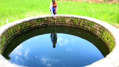 Photo of मनरेगा से बने कुएं से खेती कर बढ़ाया मुनाफ धान के अलावा सब्जियों की कर रहे खेती।