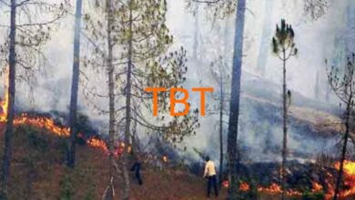 Photo of जंगलों में लगाई आग तो हो सकती है जेल, जुर्माना भी।