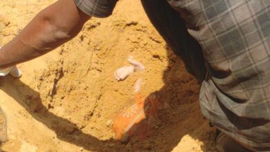 Photo of कलयुगी पिता ने 10 घंटे की बच्ची को उतारा मौत के घाट,आरोपी पिता गिरफ़्तार।