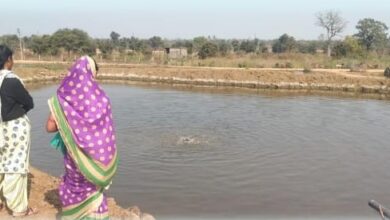 Photo of डबरी बना मछली पालन का केंद्र किसान गंगा राम को मिला अपना स्वरोजगार मनरेगा ने संवारी जिले कई किसानों का भविष्य।