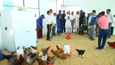 Photo of मुख्यमंत्री  भूपेश बघेल ने पोल्ट्री कमर्शियल ब्रीडर/ लेयर यूनिट का किया अवलोकन।