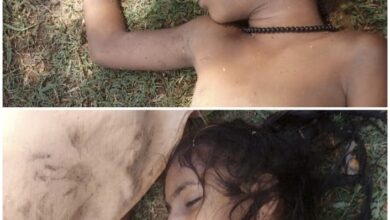 Photo of अरपा नदी में मामा के साथ नहाने गए दो मासूम बच्चों की पानी में डूबने से हुई मौत पसरा मातम।